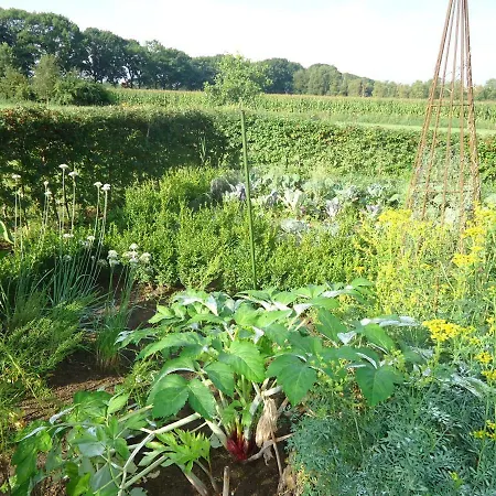 De Groene Weelde Bed & Breakfast *