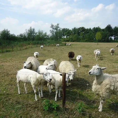 De Groene Weelde Bed & Breakfast Handel